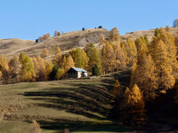 On foot, Cervières with autumn colors - Fugues en Montagne - © Fugues en Montagne