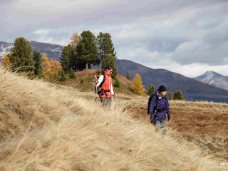 On foot, Cervières with autumn colors - Fugues en Montagne - © Fugues en Montagne