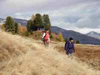 On foot, Cervières with autumn colors - Fugues en Montagne - © Fugues en Montagne