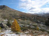 On foot, Cervières with autumn colors - Fugues en Montagne - © Fugues en Montagne