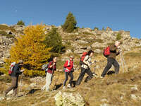 On foot, Cervières with autumn colors - Fugues en Montagne - © Fugues en Montagne