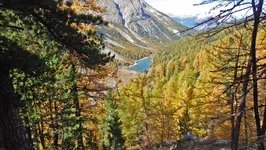 Bois des Ayes au dessus du lac de l'Orceyrette - © ©MDucroux