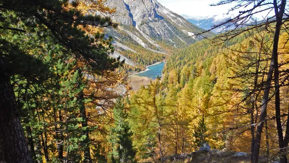 Gli chalet Taure