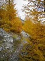Literary stroll day: "If Névache was told to me" - In the sense of our steps - © G.CLAPIZ