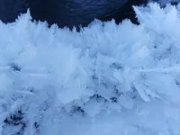 Journée découverte : « Dans la magie de la forêt hivernale » - Au sens de nos pas_Névache - © G.CLAPIZ