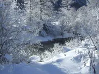 Journée découverte : « Dans la magie de la forêt hivernale » - Au sens de nos pas_Névache - © G.CLAPIZ
