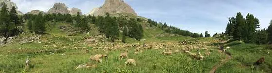 Soggiorno alla scoperta della montagna a Névache - L'Échaillon - © ©L'Échaillon