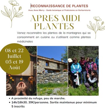 Les après-midi PLANTE - © ©Anne Merry