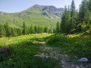 Vue depuis l'ascension du col - © Gabriel CHARLIER