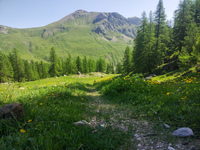 Vue depuis l'ascension du col - © Gabriel CHARLIER