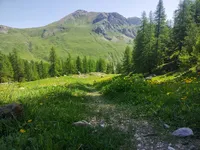 Vue depuis l'ascension du col - © Gabriel CHARLIER