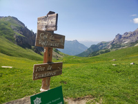 Vue depuis le col de la Trancoulette - © Gabriel CHARLIER