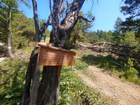 Canaux d'irrigation sur la dernière partie de la descente - © Gabriel CHARLIER
