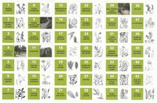Sentiero botanico delle Cervières_Cervières