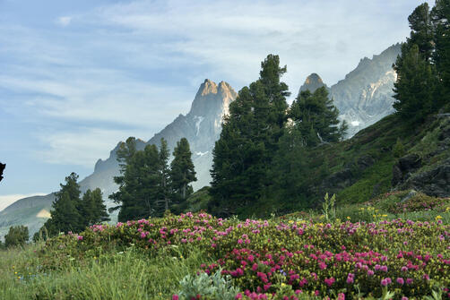 Small loop from Laval to Les Drayères