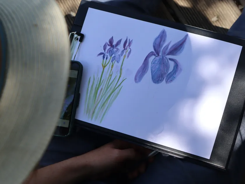 Naturalist watercolor workshop_Villar-d'Arêne - © Laury Chamerlat