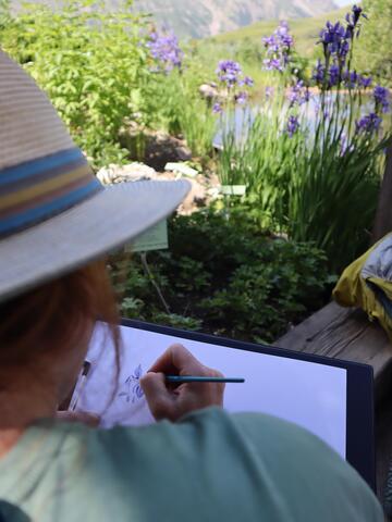 Laboratorio di acquerello naturalistico_Villar-d'Arêne - © Laury Chamerlat