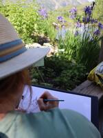 Laboratorio di acquerello naturalistico_Villar-d'Arêne - © Laury Chamerlat