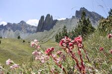 Tour du Guion_Névache - © ©L.Fine