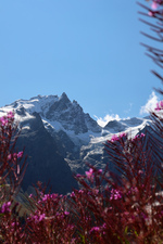 Les Plagnes par les Clots et l'Ardoisière_La Grave - © S.Morattel