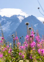 Le GR54 de La Grave à Arsine_La Grave - © Itinera Magica