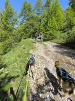Montée à Granon - © Sophie Quinones