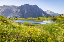 Lac des Sarailles_Cervières - © Thibaut Blais