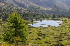 Lac des Sarailles_Cervières - © Thibaut Blais