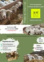 Affiche visite maison des Bêtes à laine - © La maison des bêtes à laine