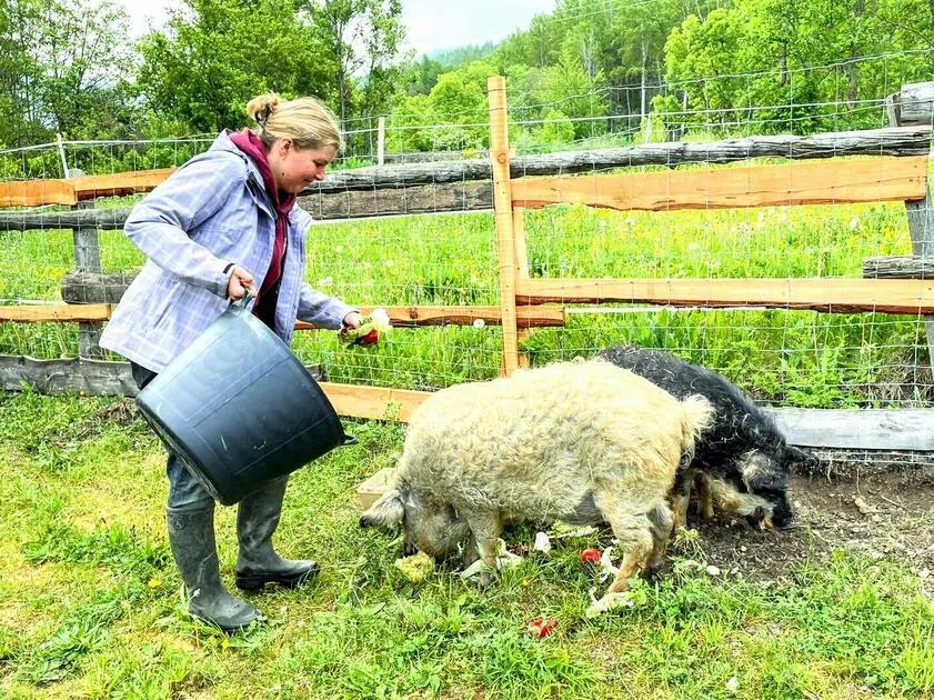 Expérience "Fermier.es d'un soir" - La Petite Ferme des Regains - © La Petite Ferme des Regains