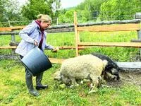Expérience "Fermier.es d'un soir" - La Petite Ferme des Regains - © La Petite Ferme des Regains