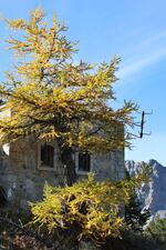 L'ancien fort de la Lausette_Cervières - © L.Chamerlat
