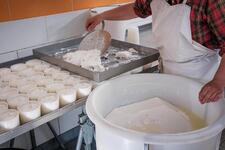 Transformation fromagère La Ferme Brunet - Gaec Du Lasseron_Cervières - © Thibaut Poinas