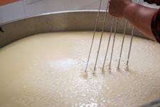 Transformation fromagère Ferme Brunet - Gaec Du Lasseron_Cervières - © Thibaut Poinas