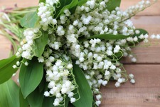 muguet - © Pixabay