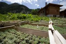 Vente directe produits biologiques - © La Ferme du Clot