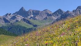Gîte l'Etablon  - Le Rocher Plat - Chardon Jean-Pierre - © JP CHARDON
