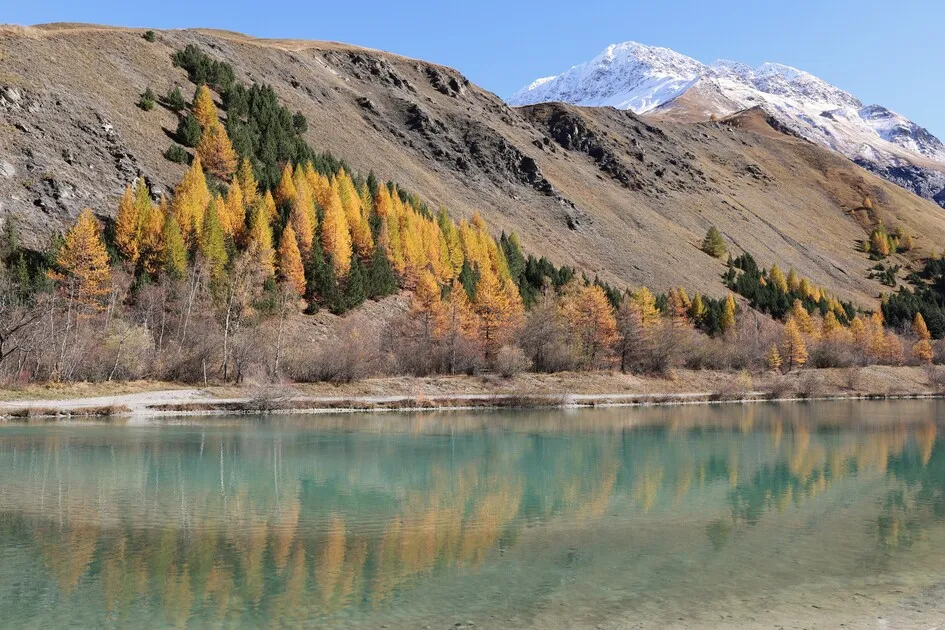 Lac de la Gravière - © L.Chamerlat