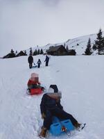 Plaisir de la glisse à la descente (ou sur le plat si Papa tire la luge) - © TheoTour