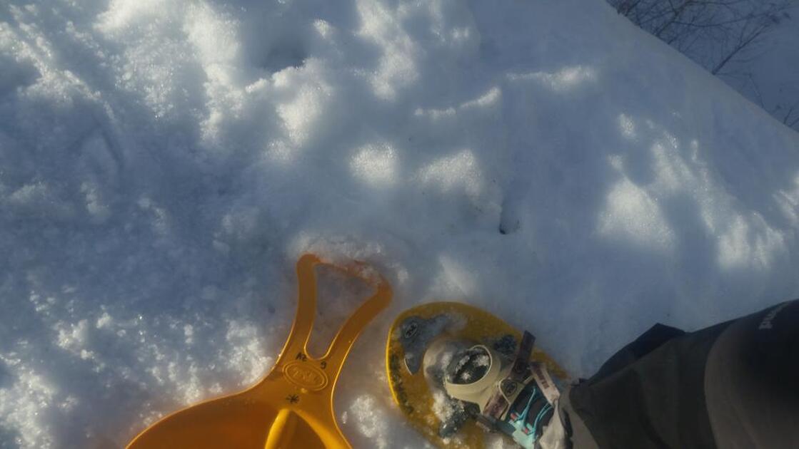 Raquettes! - © @ToutLaO