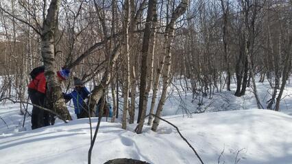 Trappeur - © @ToutLaO