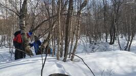 Trappeur - © @ToutLaO