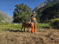 Farm les Sagnes - © fermedessagnes
