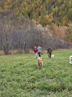 Farm les Sagnes - © fermedessagnes
