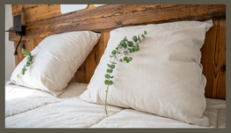 Chazelaine - © Bruno Lavit - @chazelaine