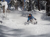skieur dans les sapins - © ESFofficiel
