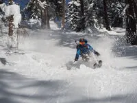 skieur dans les sapins - © ESFofficiel
