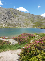 Le Men - Nouaille - The refuge - © Kevin Le Men