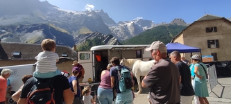 Maréchal ferrant en pleine démonstration 2025 - © E.CHEREAU