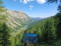Il Bosco degli Ayes_Villar-Saint-Pancrace - © A.Balacé